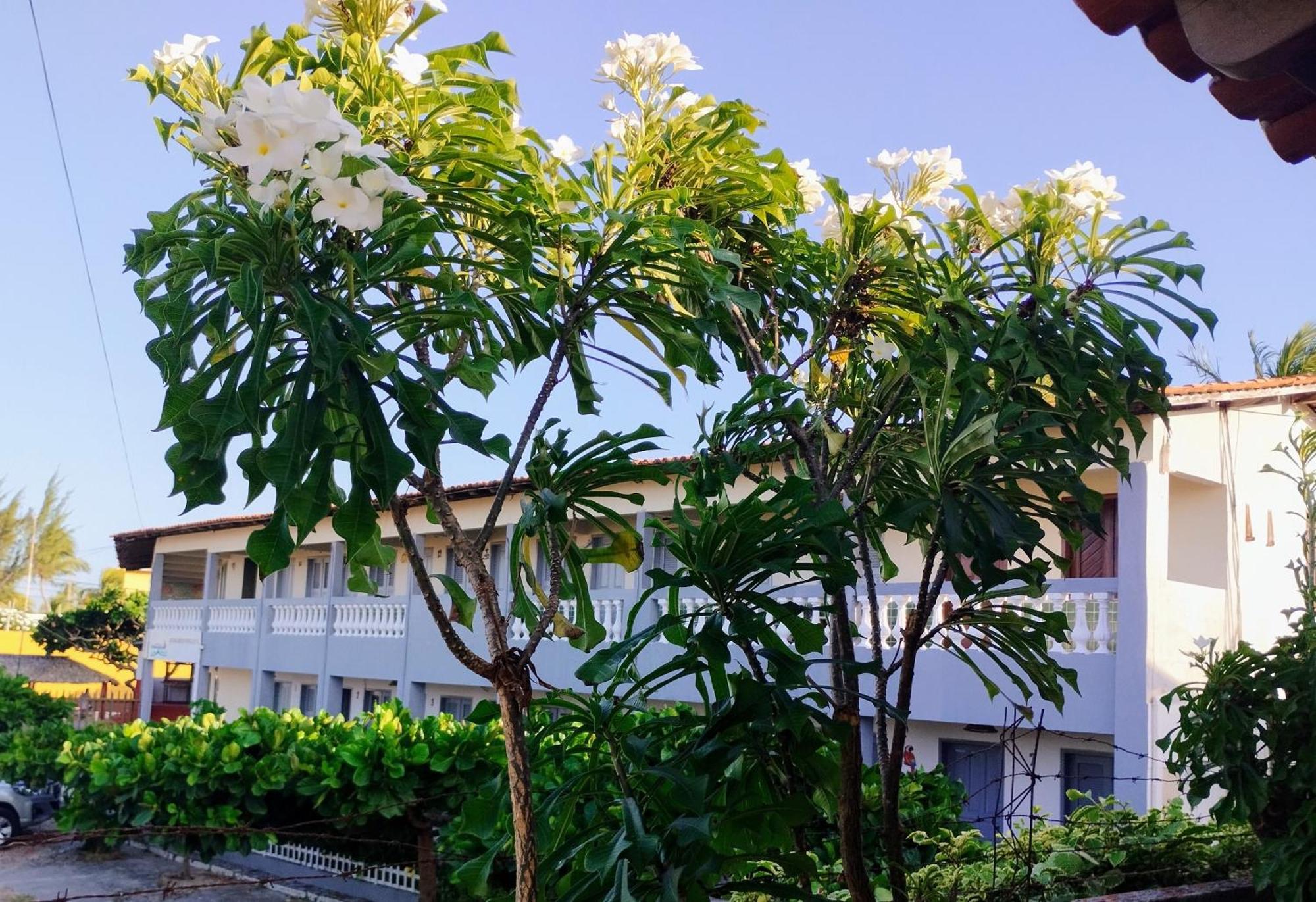 Pousada Embarcacao Hotel Tutóia Exterior foto